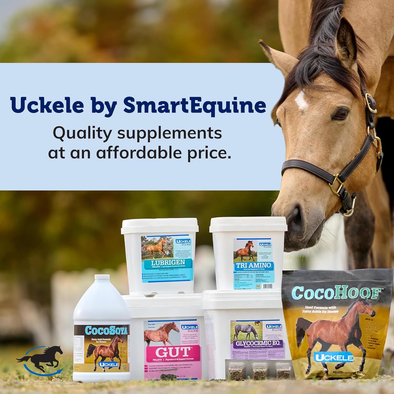 Uckele by SmartEquine CocoSun™ Granular Omega Horse Supplement | Omega 3, 6, 9 Supplements | Ideal for Healthy Skin & Shiny Coats | Horse Supplements for Weight Gain | 30 lb Bag - Image 6