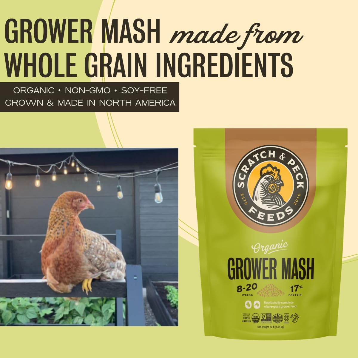 Scratch and Peck Whole Grain Grower Mash Chicken and Duck Feed - 10 lbs Bag - Corn-Free and Soy-Free - 17% Protein, Certified Organic and Non-GMO Project Verified Chicken Food - Image 4
