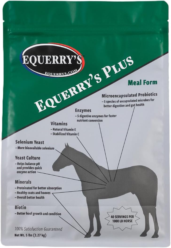 Equerry's Plus 40 Feedings for 1000 lb. Horse, 5lb. - Image 2