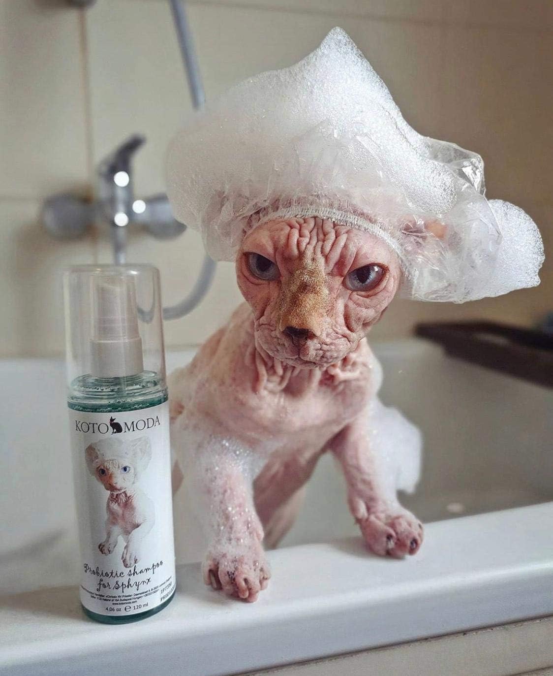Probiotic Shampoo for Sphynx Cats (8.45) - Image 4