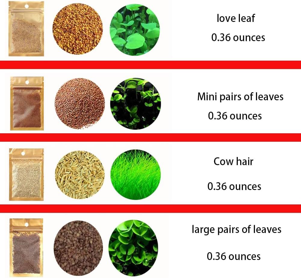 Mysteryhigh 4 Pack Aquarium Plant S.e.e.d Set, Aquarium Carpet,not Artificial Plastic Plant. for Fresh Water Fish Tank - Image 2