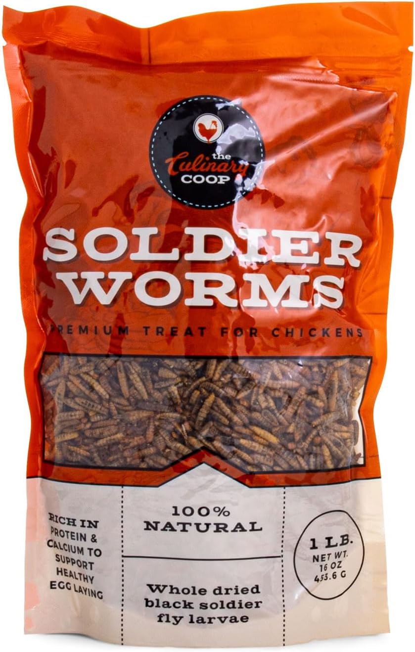 Fluker's Culinary Coop Premium Chicken Treats, Dried Soldier Worms, Packed with Protein and Calcium, 100% Natural Rich Grubs for Chicken, Backyard Birds, and Reptiles, 16 oz - Image 2