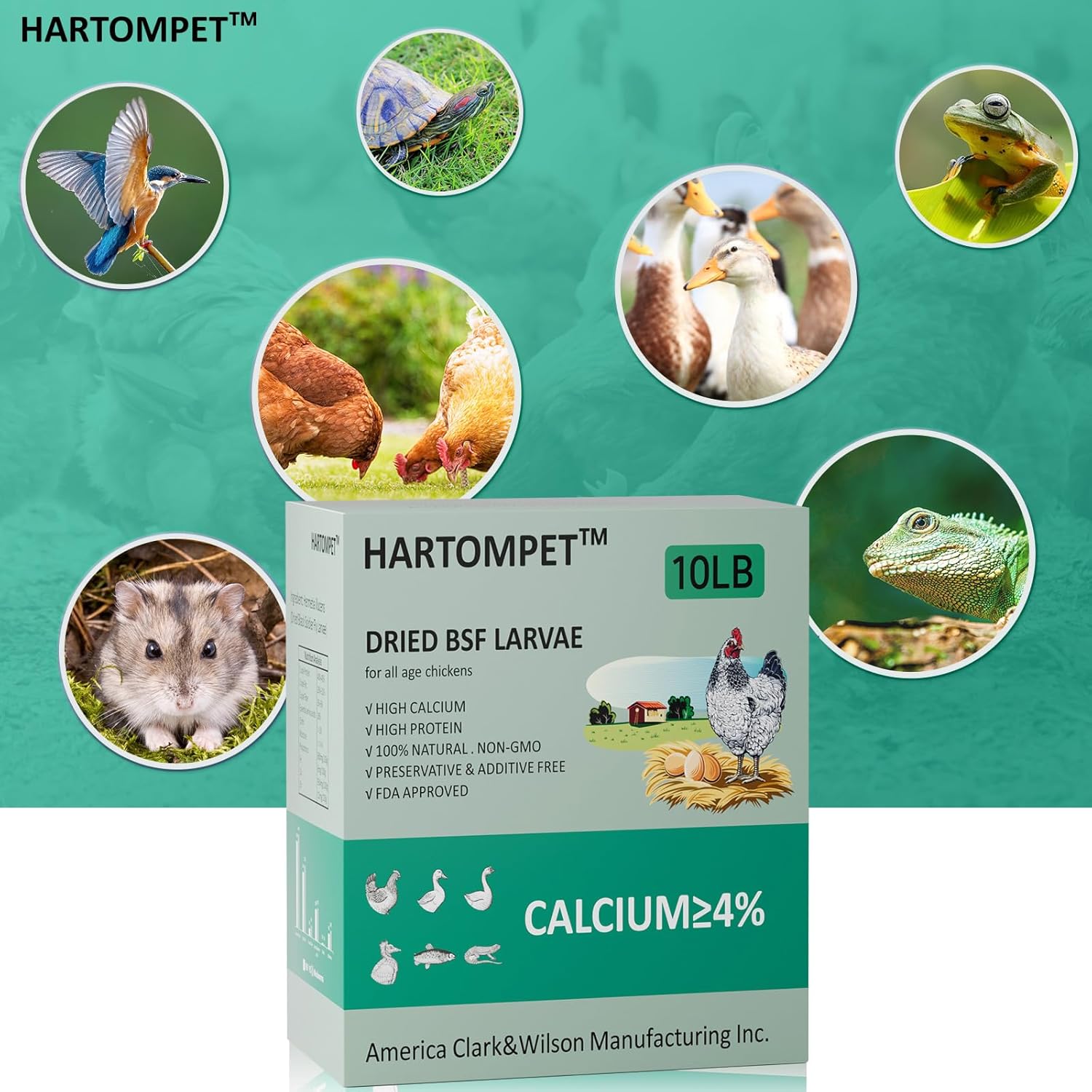 HARTOMPET Better Than Dried Mealworms for Chickens 10 lbs - 85X Calcium Than MealWorms - Non-GMO Chicken Feed Additive & Molting Supplement - black soldier fly larvae Treats for Hens, Ducks, Wild Bird - Image 7