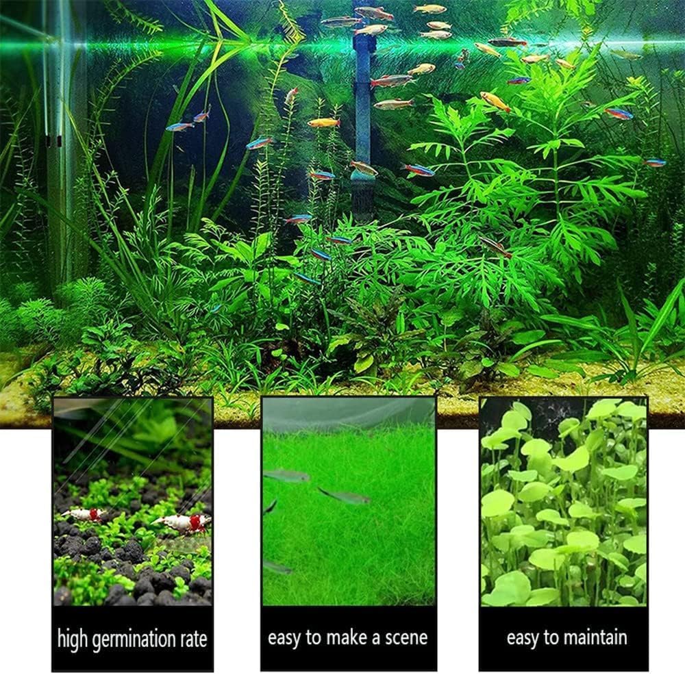 Mysteryhigh 4 Pack Aquarium Plant S.e.e.d Set, Aquarium Carpet,not Artificial Plastic Plant. for Fresh Water Fish Tank - Image 4