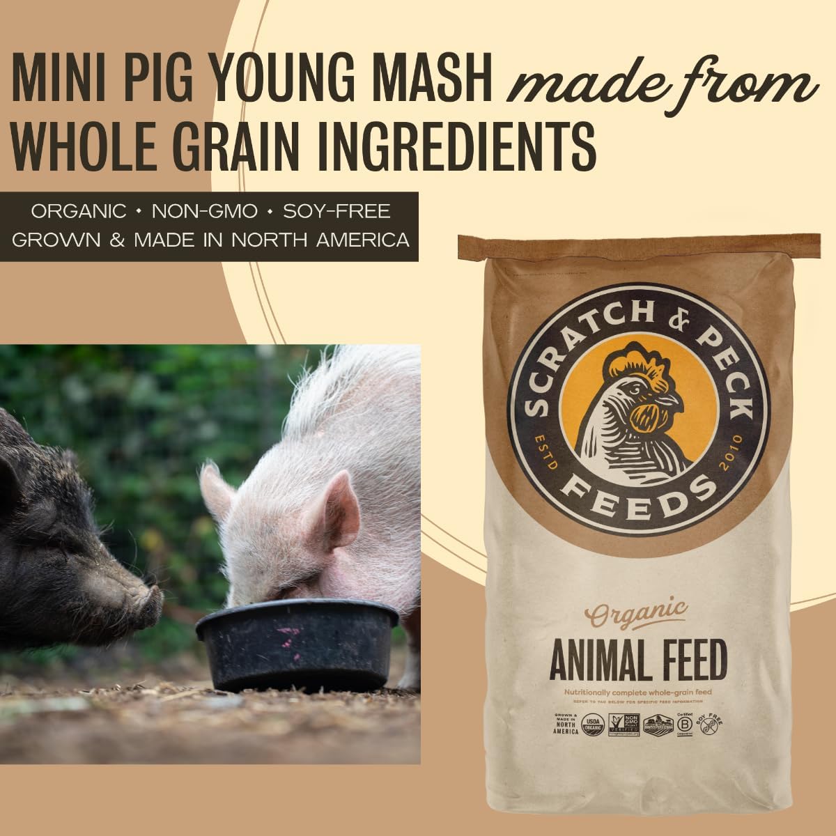 Scratch and Peck Whole Grain Young Mash Mini Pig Feed - 25 lbs Bag - Corn-Free and Soy-Free - 15% Protein, Certified Organic and Non-GMO Project Verified Mini Pig Food - Image 4