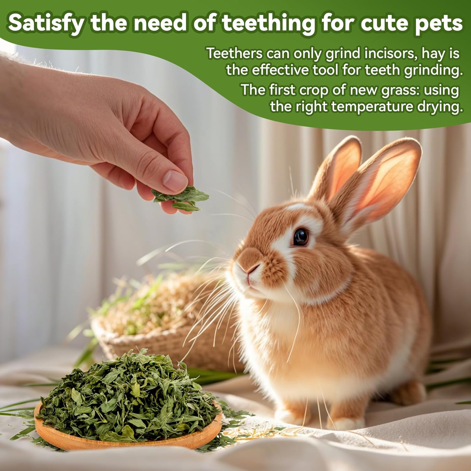 MAQIHAN Natural Alfalfa Hay for Rabbits - Dried Organic Chinchilla Guinea Pig Tender Hay for Young, Pregnant or Nursing Small Pets for Rabbit Food for Small Animals 7.58 oz - Image 6