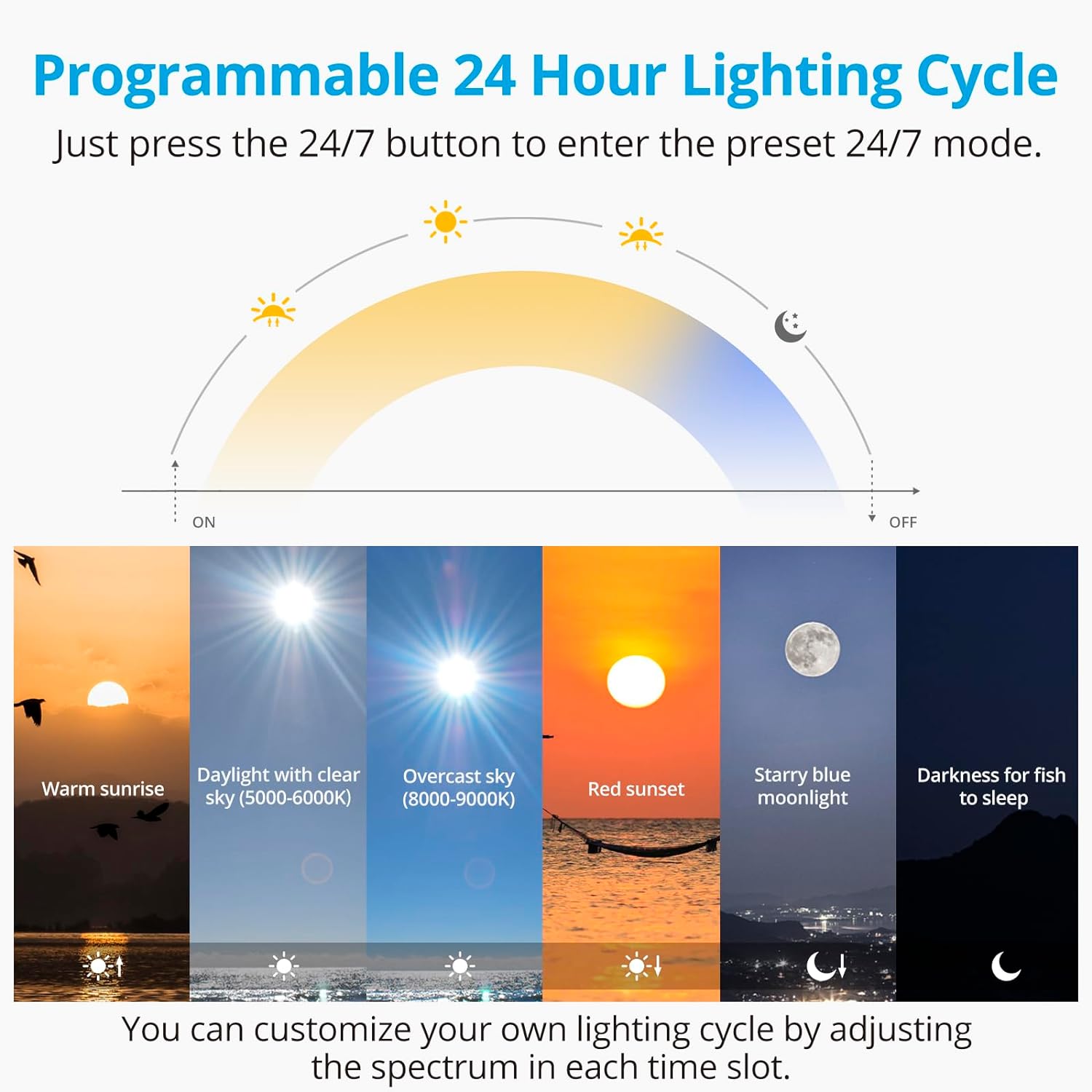 NICREW C10 24/7 LED Aquarium Light for Plants, 36-48 Inches, Full Spectrum Fish Tank Light with Timer, Brightness Adjustable - Image 3