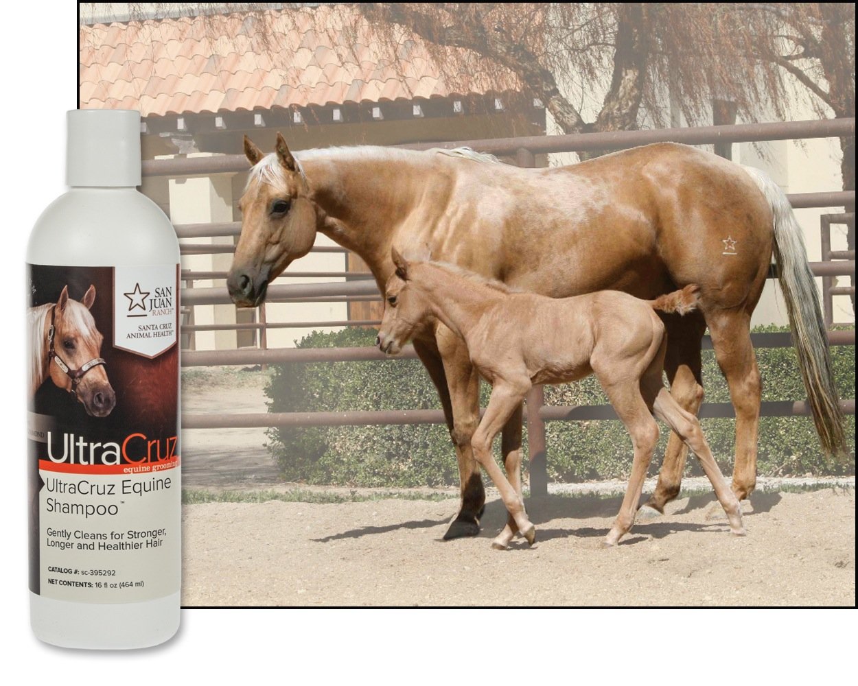UltraCruz - sc-395292 Equine Horse Shampoo, 16 oz - Image 4