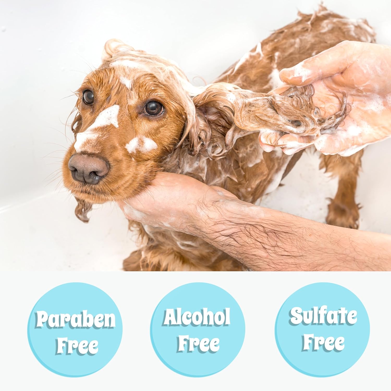 Islandpup 5-in-1 Organic Dog Shampoo and Conditioner | Hydrating, Deodorizing & Detangle | Natural Dog Shampoo Made with Oatmeal & Coconut| Locks Moisture in The Skin for Lasting Hydration | 16 FL OZ - Image 5