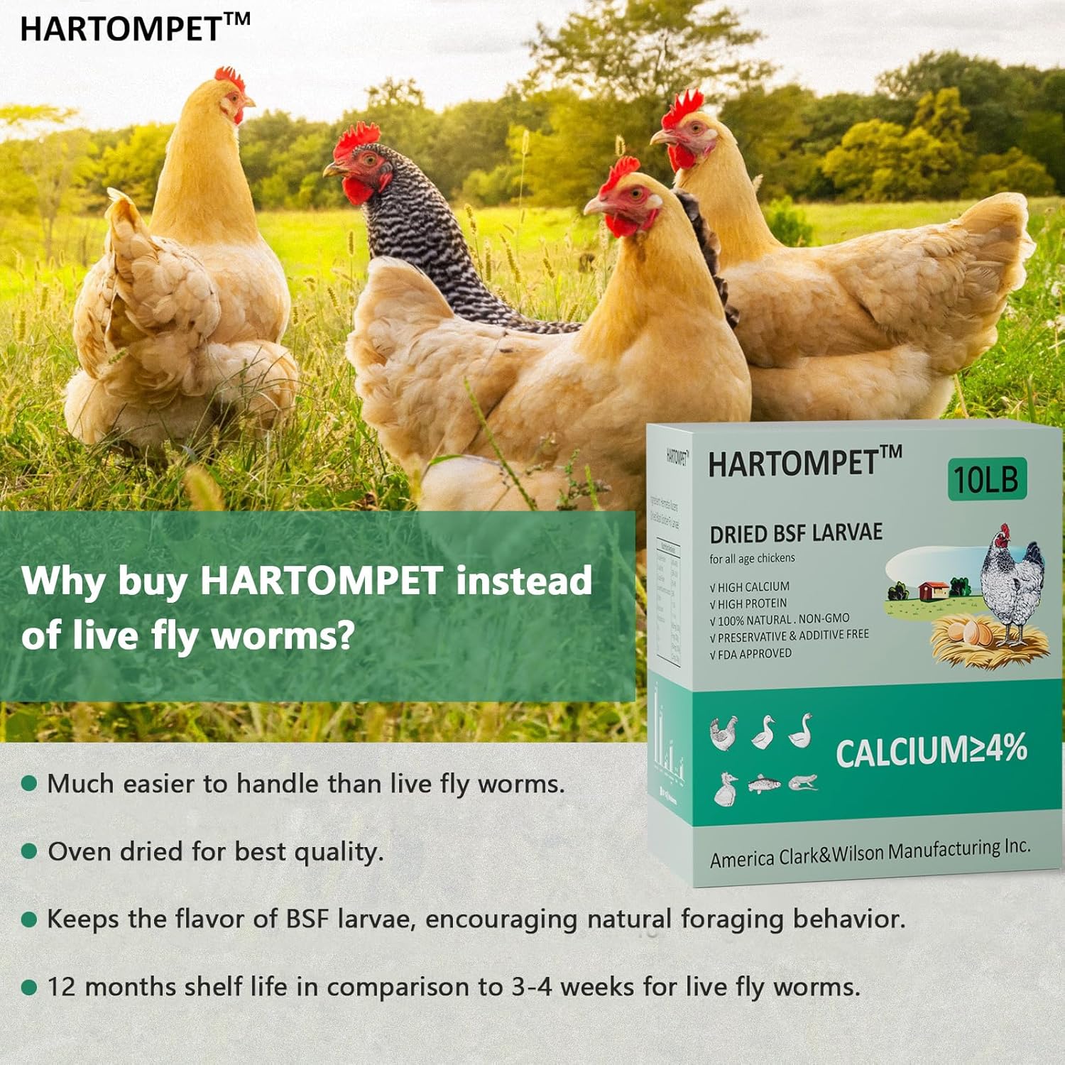 HARTOMPET Better Than Dried Mealworms for Chickens 10 lbs - 85X Calcium Than MealWorms - Non-GMO Chicken Feed Additive & Molting Supplement - black soldier fly larvae Treats for Hens, Ducks, Wild Bird - Image 5
