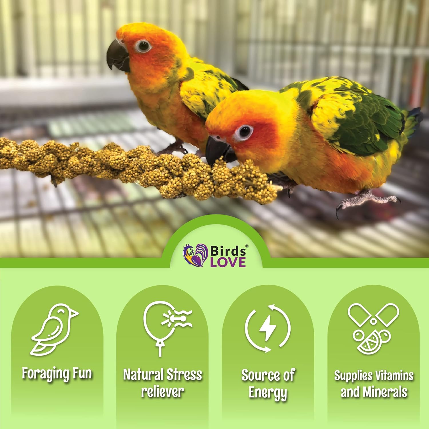 Birds LOVE French Kissed Spray Millet for Birds - Parakeets, Cockatiels, Lovebirds, Finches, Budgies, Canaries, Cockatoos - Natural & Healthy Bird Millet - Parakeet Food & Treats for All Parrots 5lbs - Image 7