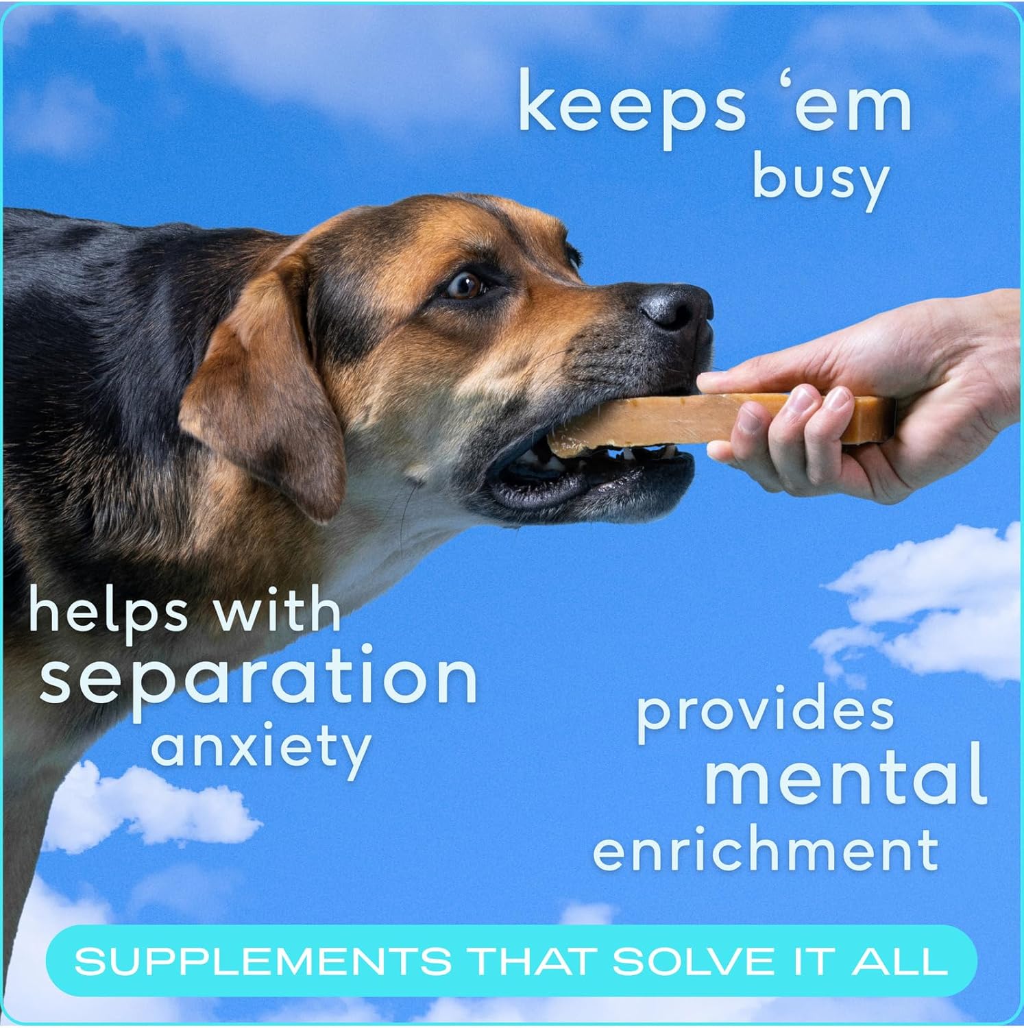 Native Pet Yak Cheese Himalayan Dog Chews - Long Lasting Dental Sticks for Medium Breeds – 100% All Natural Himalayan Yak Chews for Medium Dogs – Cheese Bone for Aggressive Chewers - 3 Per Pack - Image 4