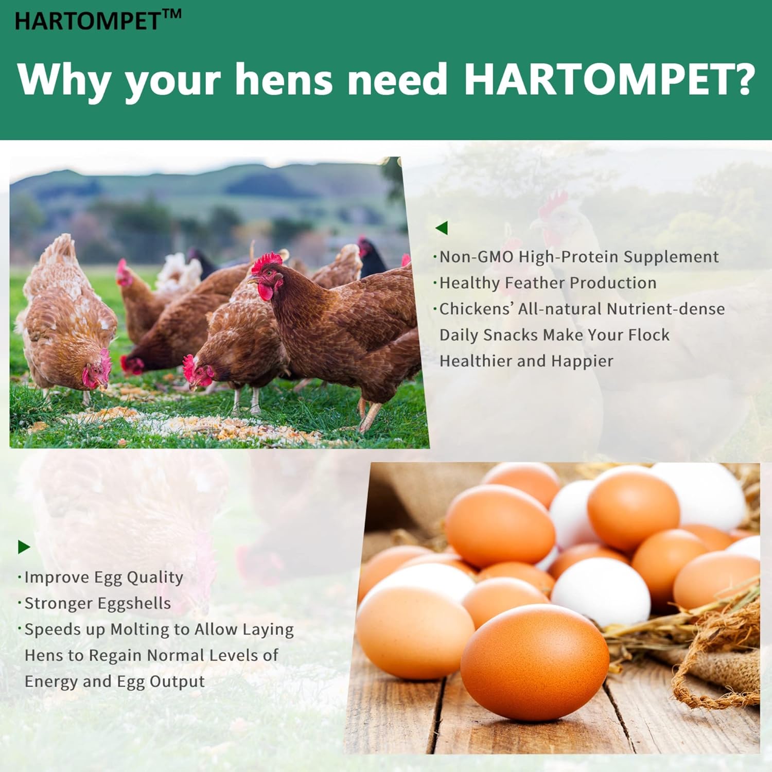 HARTOMPET Better Than Dried Mealworms for Chickens 10 lbs - 85X Calcium Than MealWorms - Non-GMO Chicken Feed Additive & Molting Supplement - black soldier fly larvae Treats for Hens, Ducks, Wild Bird - Image 6