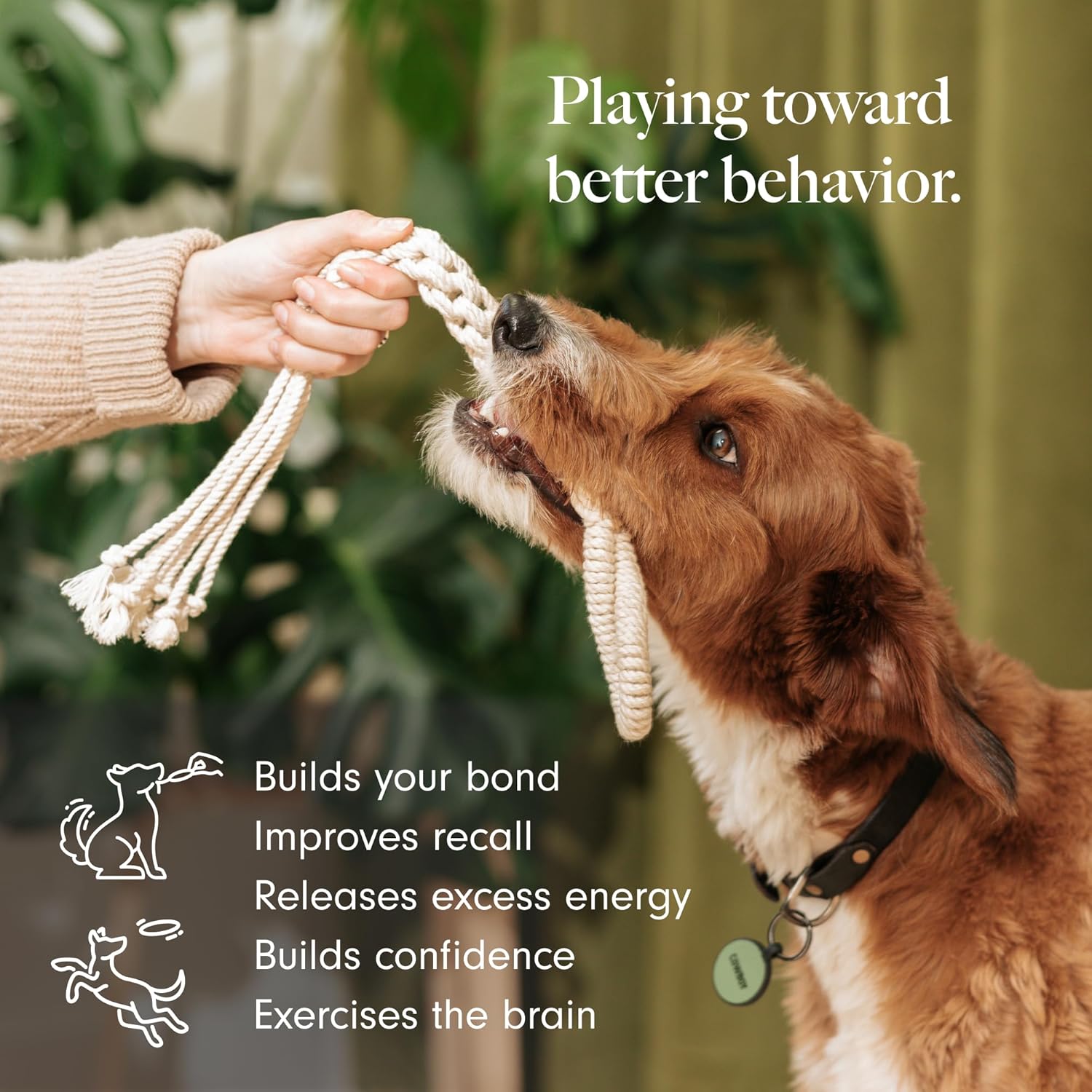 LAY LO Natural, Non-Toxic Cotton Rope Toys for Small and Medium Dogs | 2-Pack | Includes Live Support with Dog Trainer | Durable & Eco-Friendly | Unique Boho Designs with Handle | Puppy Teething Toy - Image 3