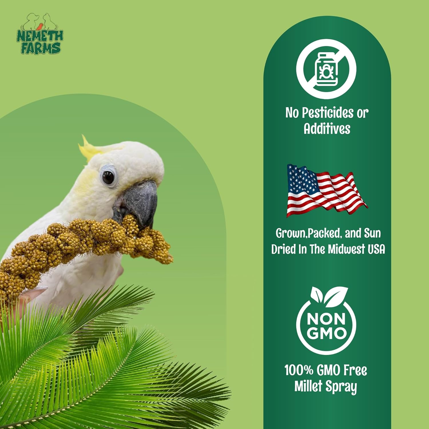 Worlds Freshest Sun-Dried Spray Millet - Non-GMO (No Stems Only Edible Tops) - Healthy Bird Treat and Supplement for All Pet Birds Parakeets Cockatiels Finches - 1lb - Image 5