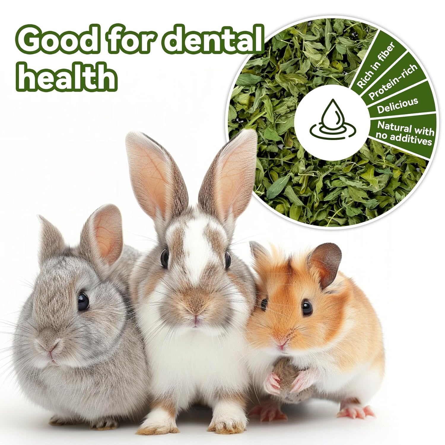 MAQIHAN Natural Alfalfa Hay for Rabbits - Dried Organic Chinchilla Guinea Pig Tender Hay for Young, Pregnant or Nursing Small Pets for Rabbit Food for Small Animals 7.58 oz - Image 3