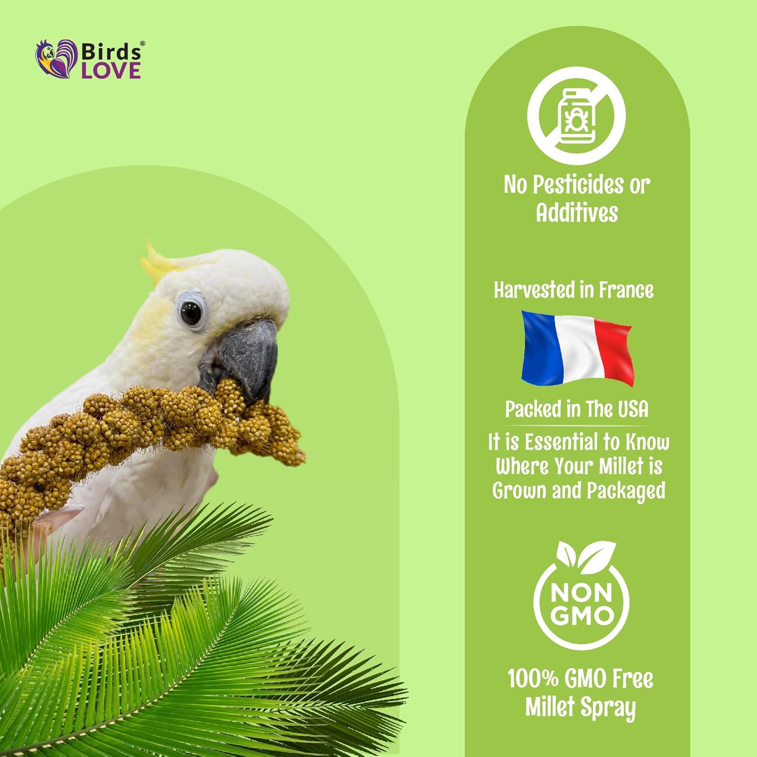 Birds LOVE French Kissed Spray Millet for Birds - Parakeets, Cockatiels, Lovebirds, Finches, Budgies, Canaries, Cockatoos - Natural & Healthy Bird Millet - Parakeet Food & Treats for All Parrots 5lbs - Image 6