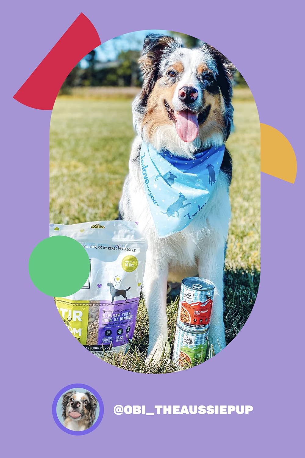 I AND LOVE AND YOU Wet Dog Food - Double Dog Deer Moo Variety Pack - Beef + Venison, Grain Free, Filler Free 13oz can, 6pk - Image 6