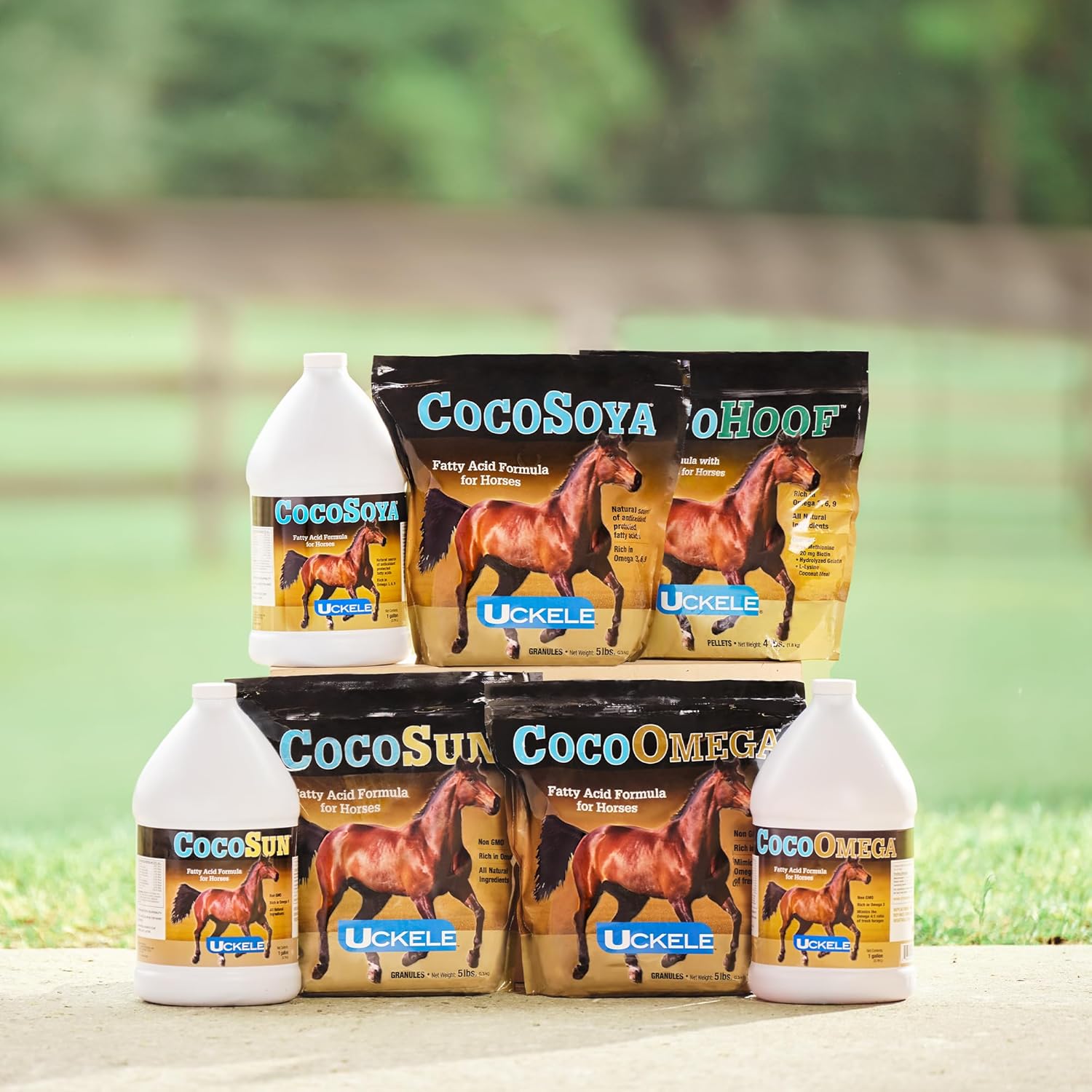 Uckele by SmartEquine CocoSun™ Granular Omega Horse Supplement | Omega 3, 6, 9 Supplements | Ideal for Healthy Skin & Shiny Coats | Horse Supplements for Weight Gain | 30 lb Bag - Image 4