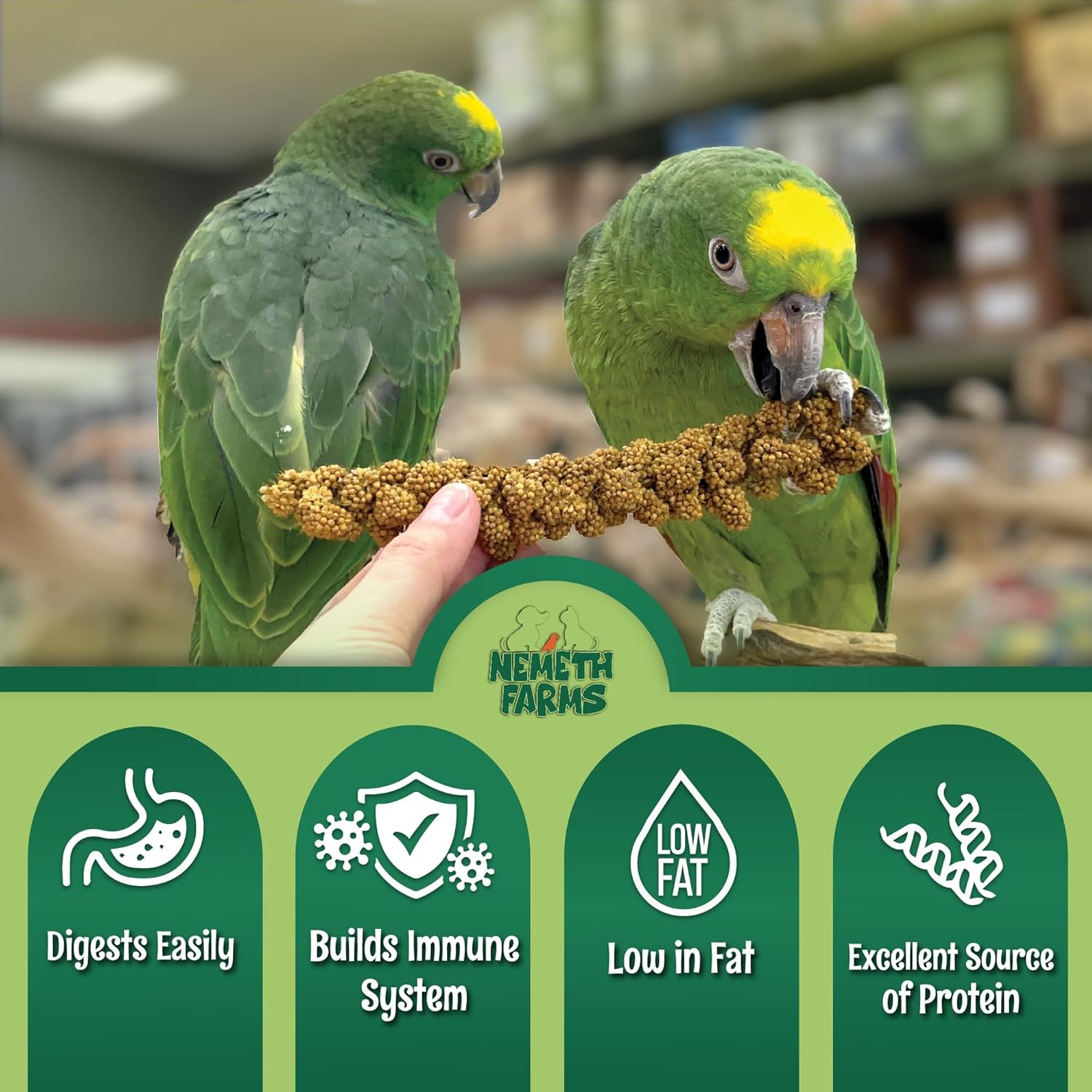 Worlds Freshest Sun-Dried Spray Millet - Non-GMO (No Stems Only Edible Tops) - Healthy Bird Treat and Supplement for All Pet Birds Parakeets Cockatiels Finches - 1lb - Image 4