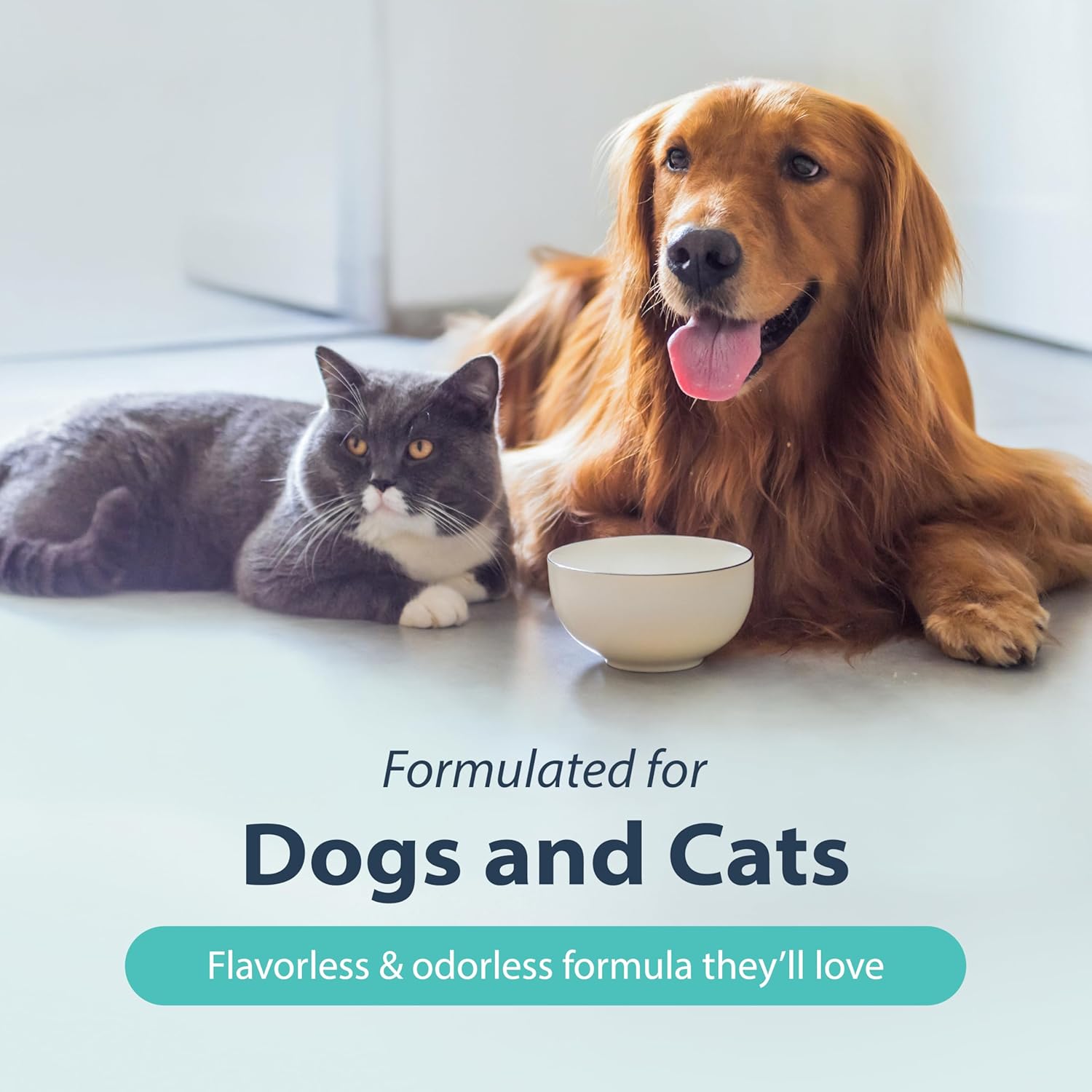 Dental Fresh Water Additive for Dogs, Original Formula, 64oz – Dog Breath Freshener and Dog Teeth Cleaning for Dog Dental Care– Add to Water - Image 6